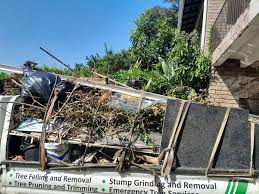 Trusted Daytona Beach Shores, FL Junk Removal Services Experts